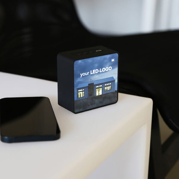 Lightshow speaker (2)-600x600.jpg